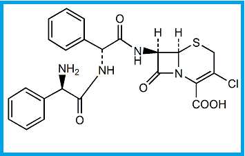CEFACLOR EP IMPURITY H